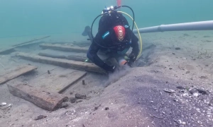 Світові ціни на нафту продемонстрували стрімке падіння після заяви Трампа — Reuters