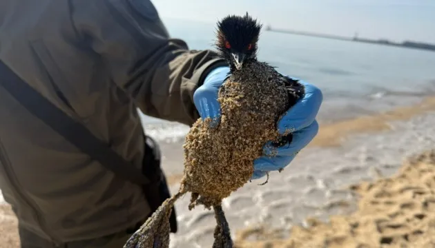 На узбережжі Одещини виявили плями невідомого забруднення