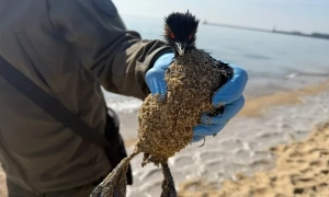 В Україні запрацюють нові правила формування графіків відключень світла