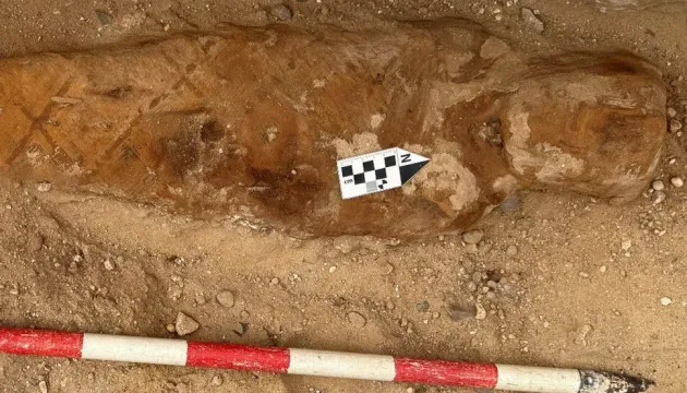 В Єгипті археологи знайшли мумію з фрагментом «Іліади» Гомера