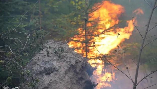 На Закарпатті поблизу Воловця горять 75 гектарів лісу, вогонь гасять 250 людей