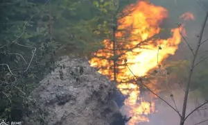 В Україні вироблятимуть хорватські комбайни для розмінування