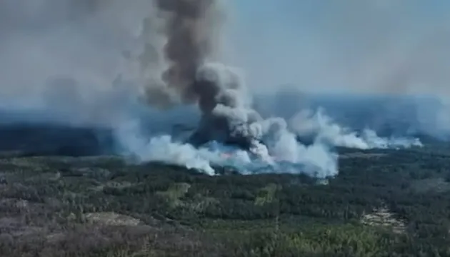 На Чернігівщині після обстрілів РФ спалахнула масштабна лісова пожежа