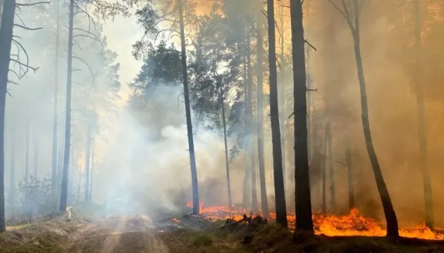 На Чернігівщині зупинили масштабну пожежу