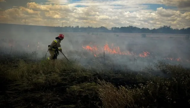 На Миколаївщині після російського удару згоріло 10 гектарів поля