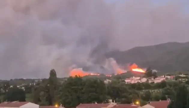 У Франції через масштабні лісові пожежі затримали 32 людини
