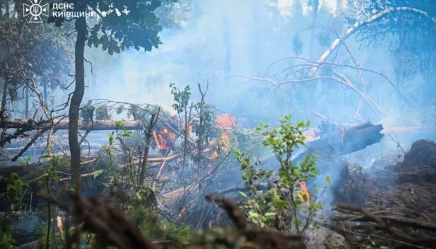 У Чорнобильській зоні приборкали дві пожежі