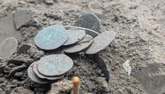 На Полтавщині археологи знайшли скарб із 118 мідних монет XIV століття