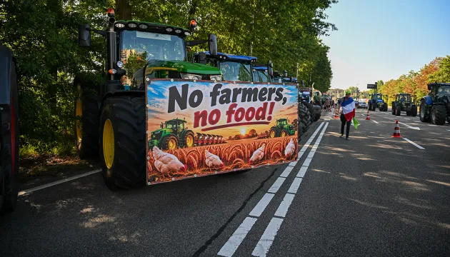 Фермеры в Нидерландах выступили против экологических ограничений