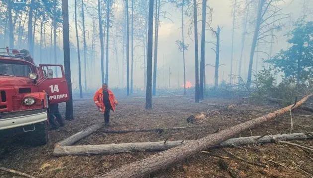 A fire in the Drevlyansky Nature Reserve engulfed nearly 49 hectares