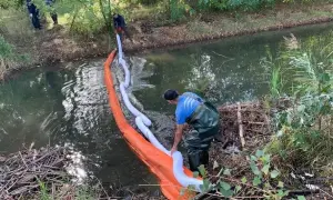 Видео: по ночному Киеву катался самолет