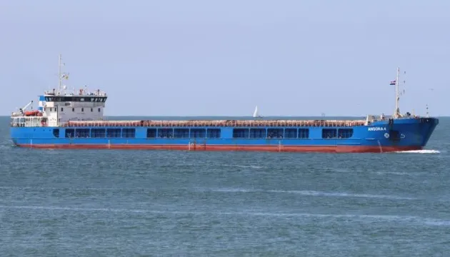 A grain carrier sank after being struck by a drone in the Black Sea