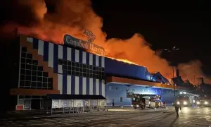 Украинский «Бебрадрон» с дальностью действия 45 км получил кодификацию