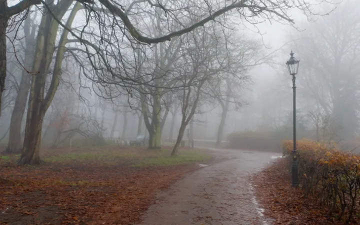 Україну накриють дощі та туман: прогноз погоди на 12 жовтня
