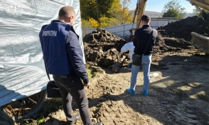 Фермер-депутат на Буковині отримав підозру за приховування африканської чуми