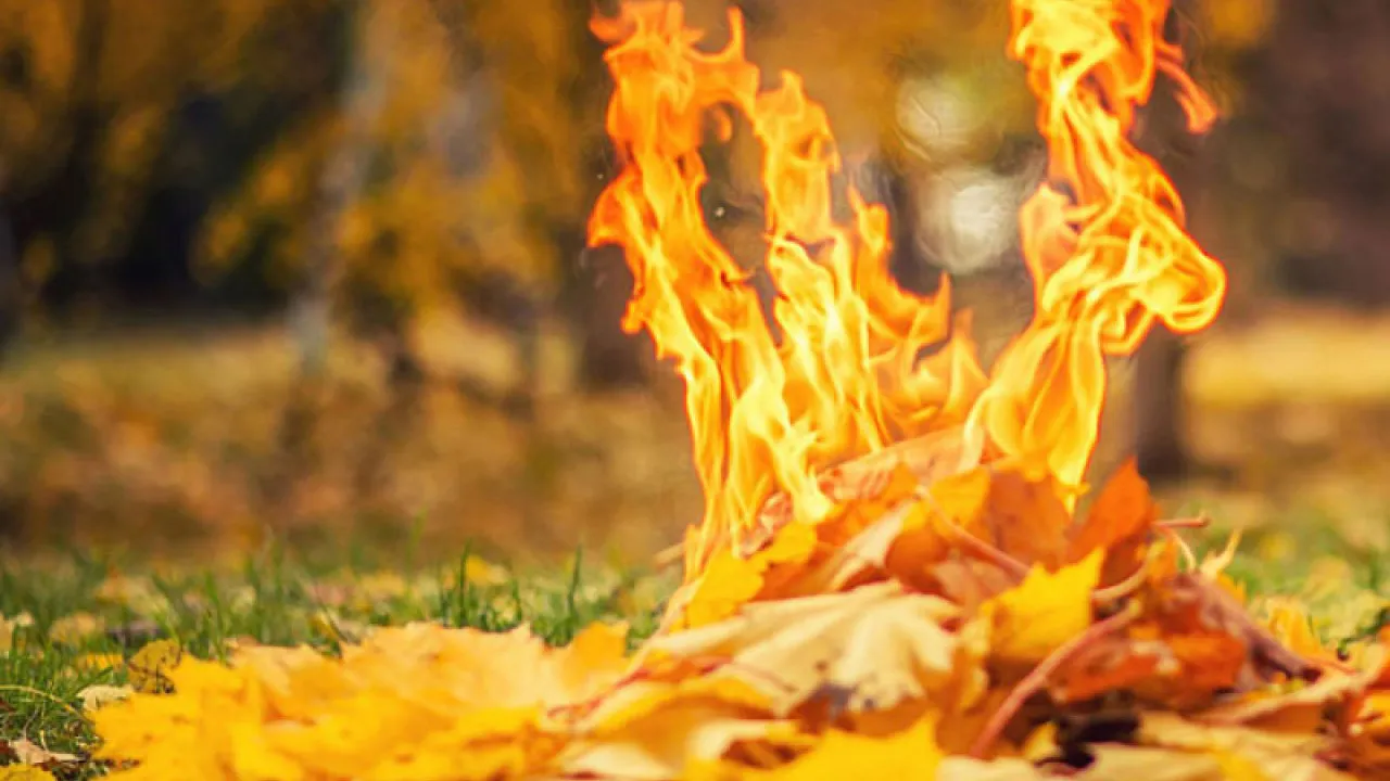 Штрафи до 30 тисяч гривень і в’язниця: киянам нагадали про заборону спалювання листя Штрафи до 30 тисяч гривень і в’язниця: киянам нагадали про заборону спалювання листя