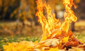 У Києві почалася реставрація Кирилівської церкви