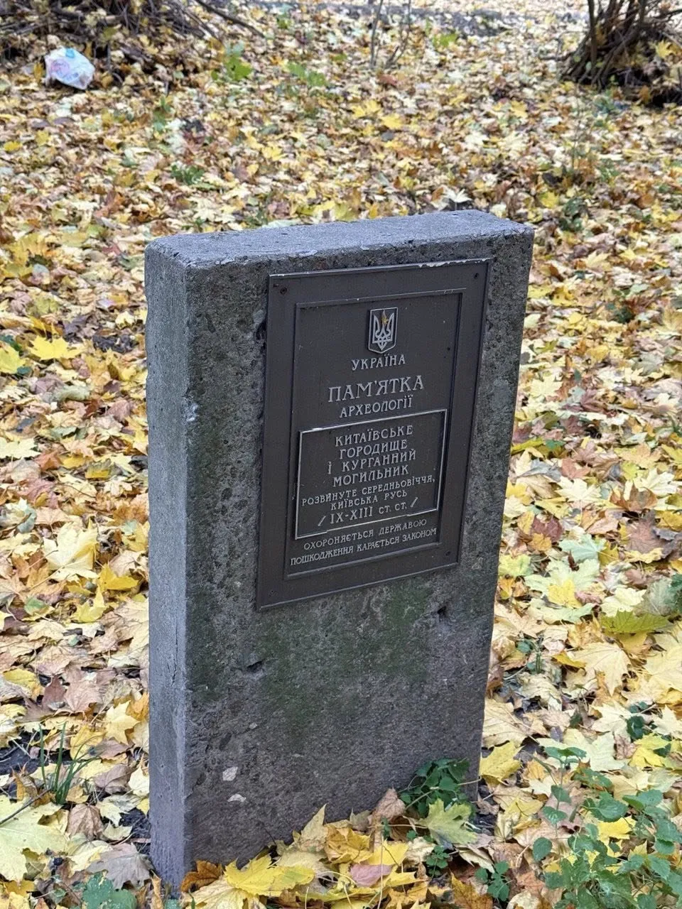 Суд захистив статус Китаївського археологічного комплексу від забудовника