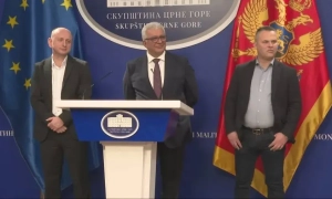 Німеччина перестала схвалювати заявки на притулок від сирійських біженців