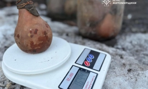  Нардеп всерйоз взявся за розслідування витрат на «відрядження» посадовців 