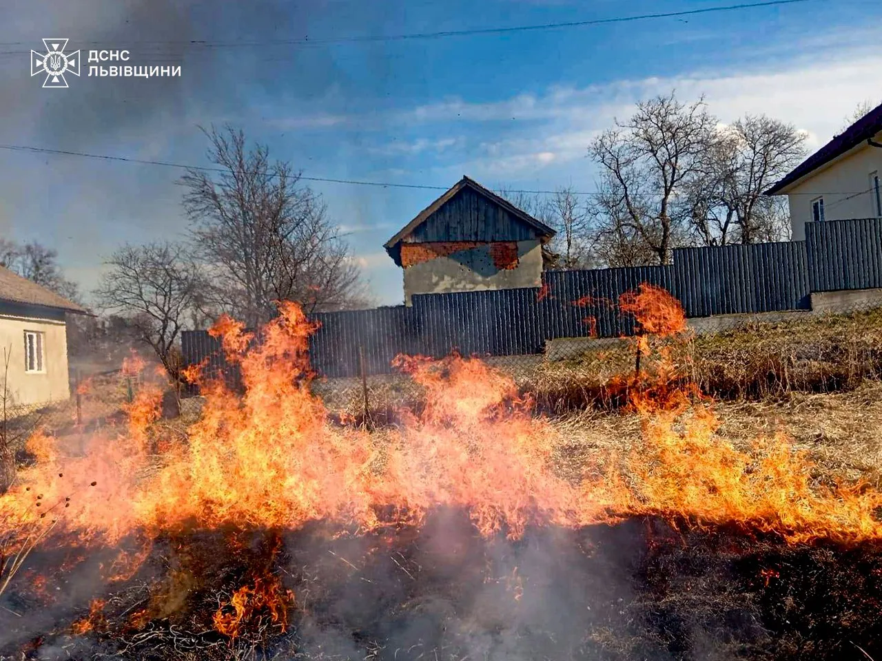 Вогонь знищив понад 92 тисячі гектарів землі в Україні