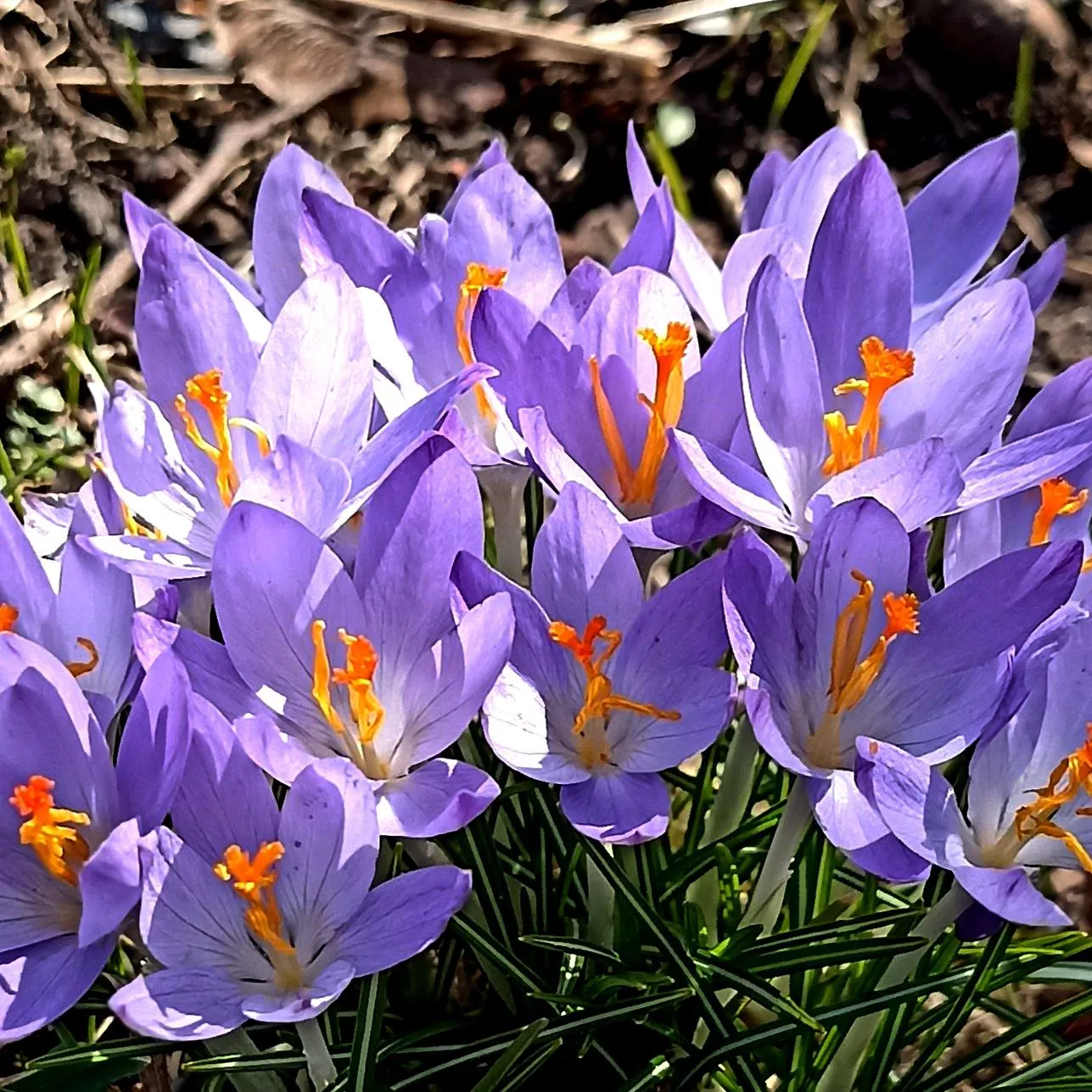 Синоптик попередила про похолодання в Україні