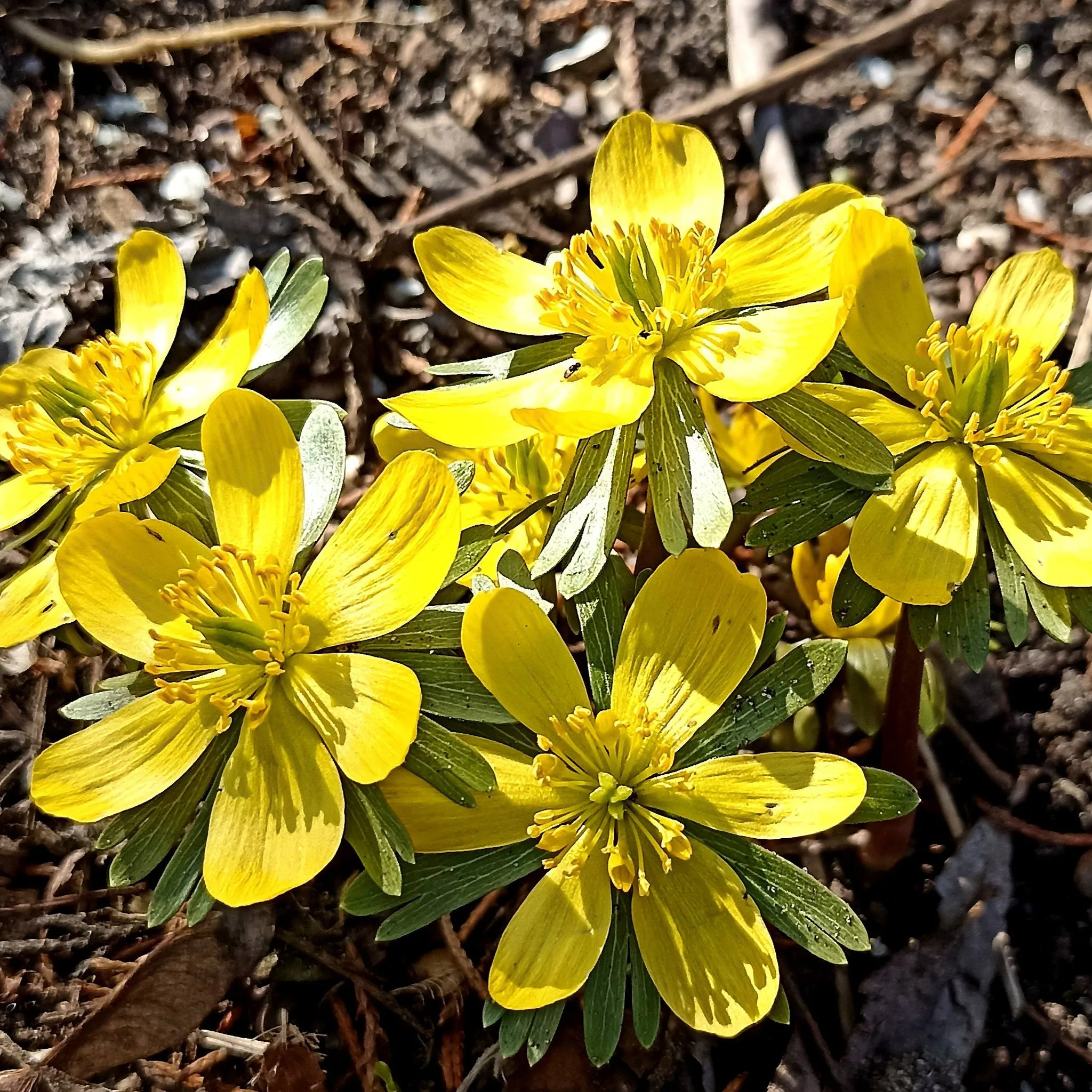 Синоптики повідомили про погоду у неділю, 29 березня