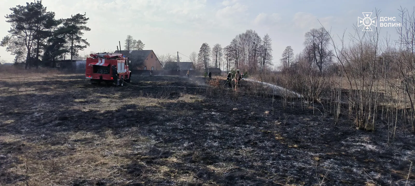 Понад 3 тисячі пожеж в екосистемах зафіксовано в Україні з початку року, є загиблі