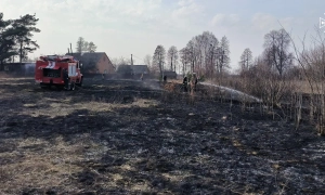 Рада проголосувала закон щодо підтримки культури на час карантину