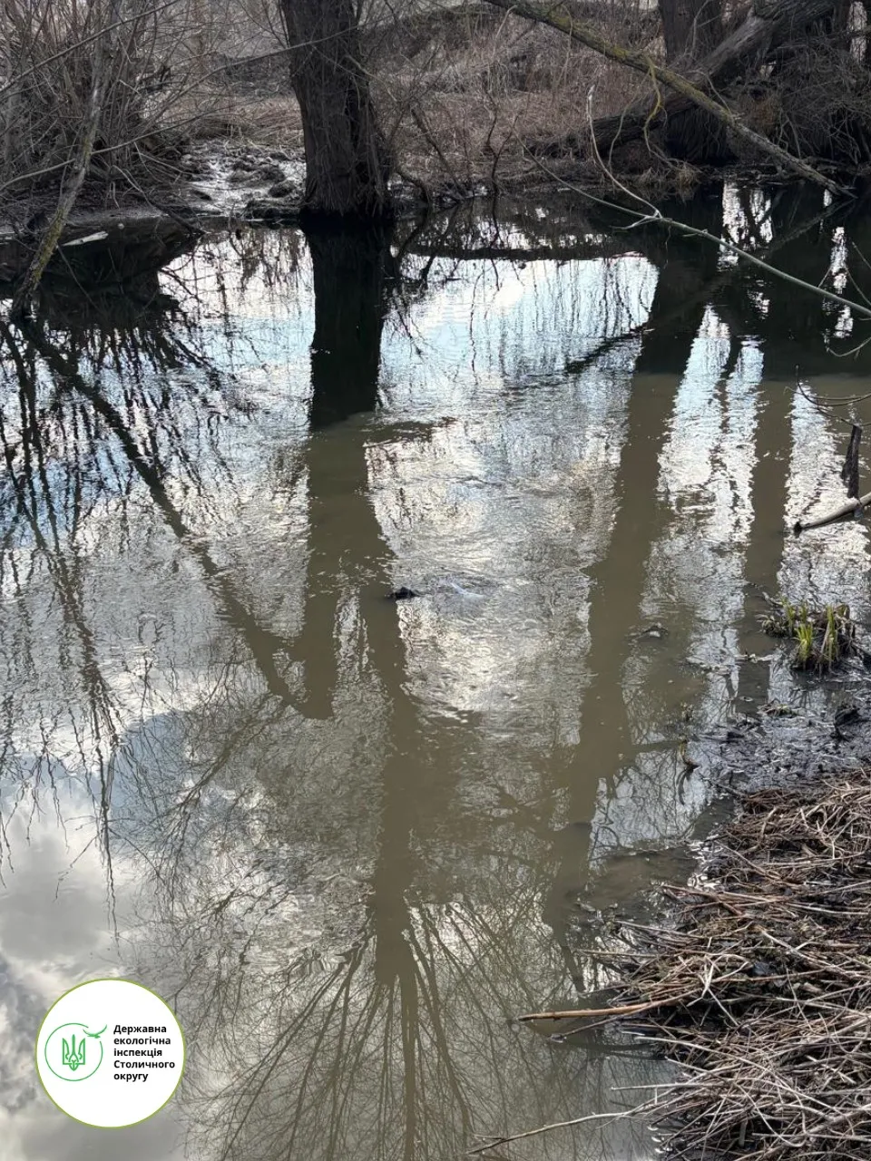 Экологи обнаружили утечку неочищенных сточных вод в реку Буча в Киевской области