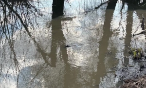 Керівник харківського підприємства завдав збитків на мільйон 