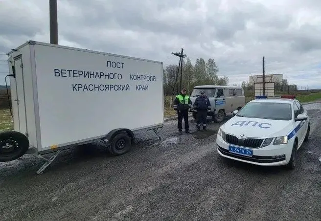 На кордоні регіонів Сибіру посилили контроль через спалах інфекції