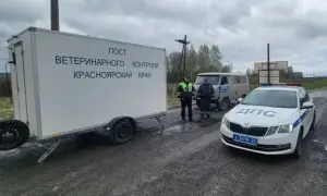 Іспанія не буде передавати танки Leopard для України: у чому причина 