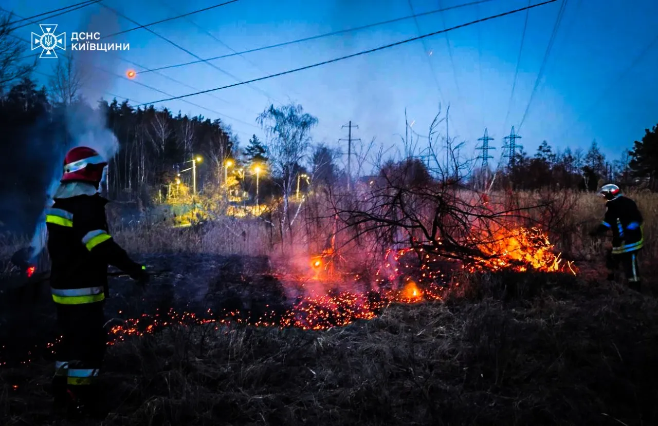На Київщині під час спалювання сухостою загинув чоловік