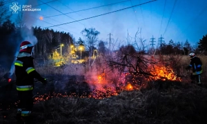 Гречка дорожчає, овочі дешевшають - у Раді пояснили причини