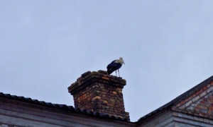 Українців закликали економити газ через атаки росії