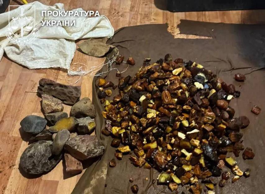 В Ровенской области раскрыли незаконный бизнес по добыче янтаря