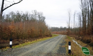 A number of trains are delayed due to a person being injured in Brovary
