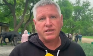 Рада спростила підтвердження стажу для пенсії