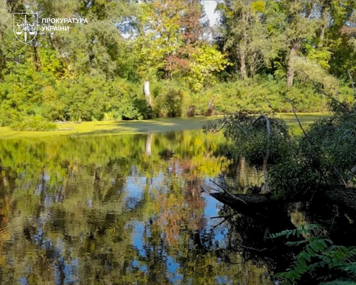 У Києві вимагають надати заповідний статус урочищу Горбачиха