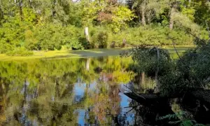 У Києві вимагають надати заповідний статус урочищу Горбачиха