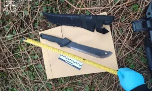 Відео: міністр оборони Британії записав спеціальне звернення з Києва