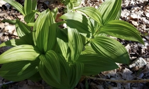 Частина Одеси залишилася без електропостачання