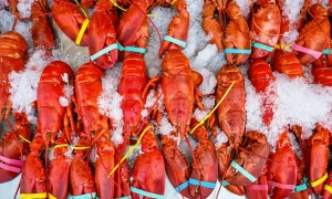 Слідом за США та ЄС ще кілька країн ввели санкції проти Білорусі