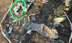 Tysiące ochotników szturmuje « Gwardię Ofensywną», będą tworzone dodatkowe brygady