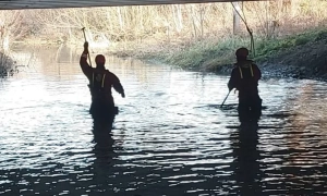 У США звільнили з-під варти бразилійку, пов’язану з речницею Білого дому