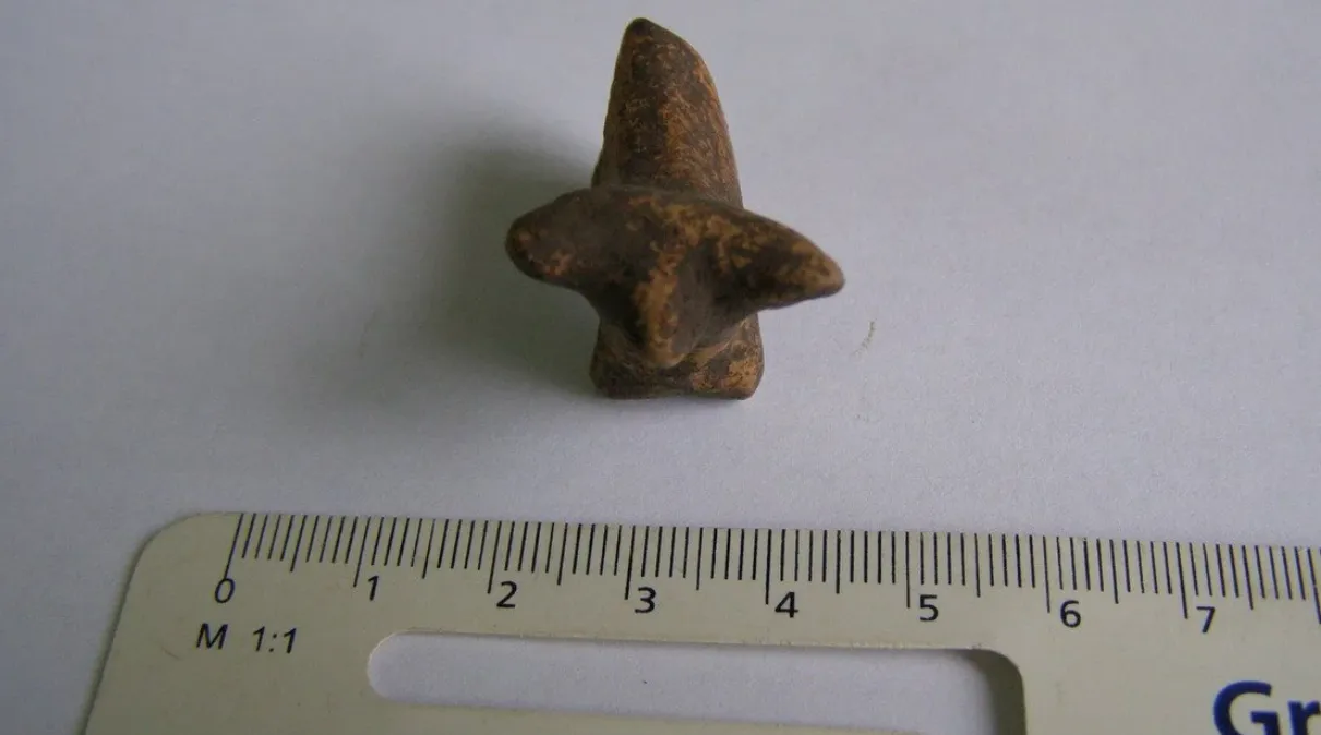 На Івано-Франківщині археологи знайшли фігурку бичка трипільців