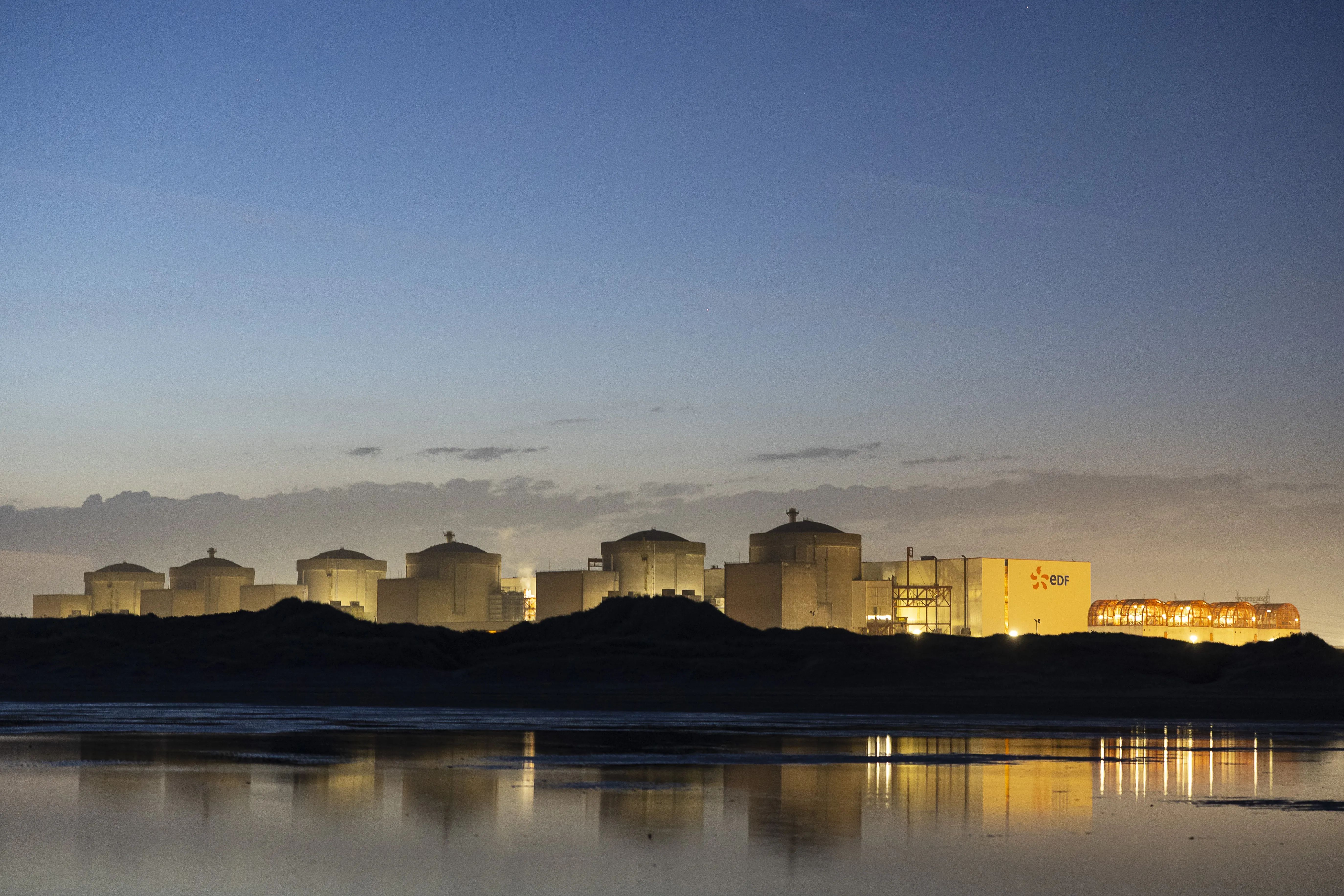 A jellyfish swarm shut down three reactors at France's largest nuclear power plant