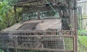 В Херсоне врачи борются за жизнь ребенка, получившего ранения во время обстрела детской площадки