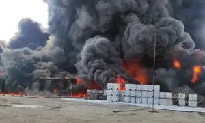 Европарламент снял иммунитет с Шошоак: ей грозят обвинения в Румынии